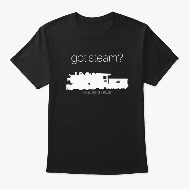 GOT STEAM? Logo 