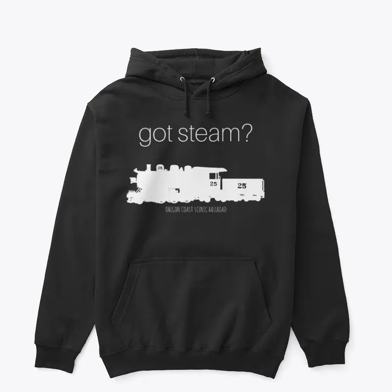 GOT STEAM? Logo 